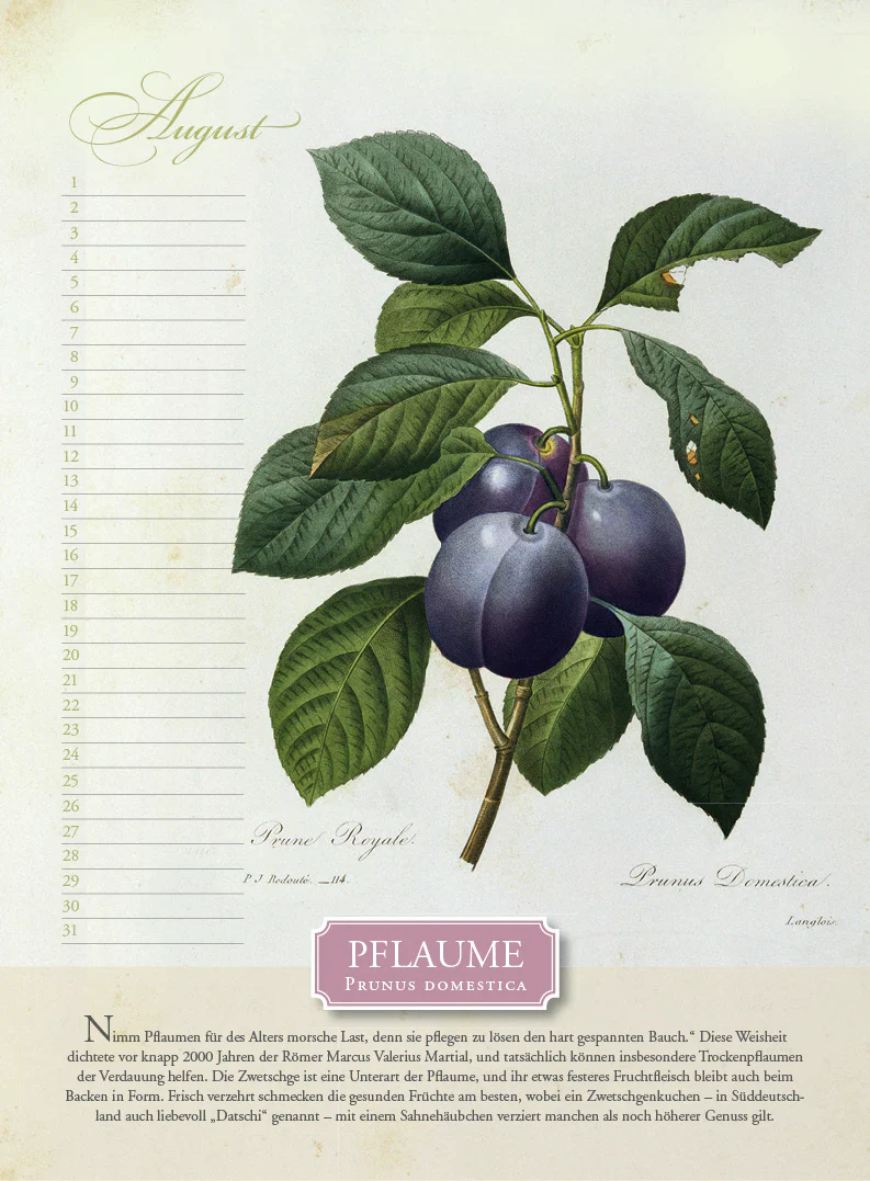 Produktbild 8
